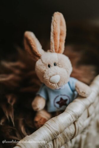 Hauke Hase als Plüschtier in Nahaufnahme